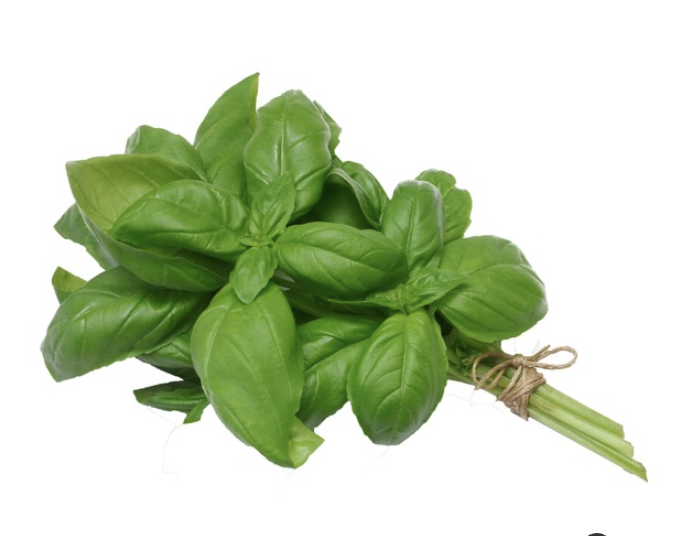 HERB BASIL TOPS FRESH