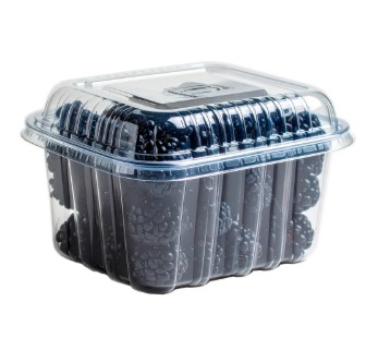 BLUEBERRIES FRESH (copia)